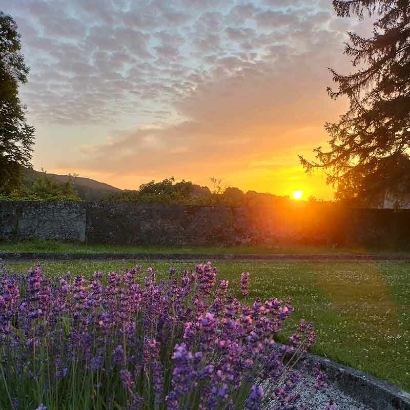Zonsondergang in tuin retraite vakantiehuis L'Orangerie Normandië met op de voorgrond bloeiende lavendel